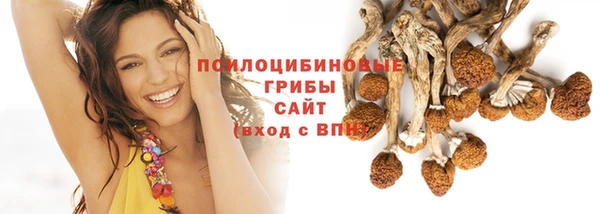 мяу мяу мука Костерёво