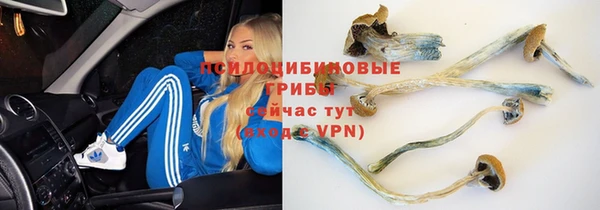 мяу мяу мука Костерёво