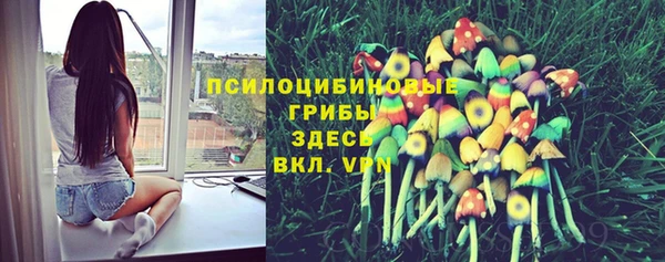 мяу мяу мука Костерёво