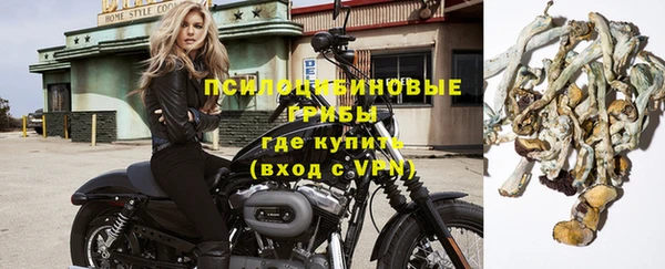 мяу мяу мука Костерёво