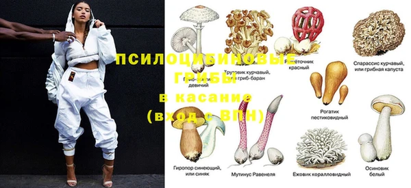 mdpv Корсаков